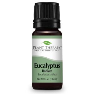 Plant Therapy Eucalyptus Radiata Essential Oil 10 ml (1/3 oz) 100% Pure.