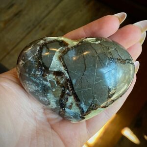 Septarian hearts