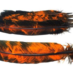 Orange feather