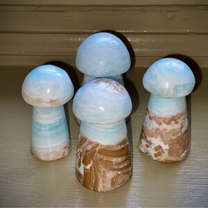 Caribbean calcite mushroom