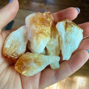 Heat Treated Amethyst Teeth