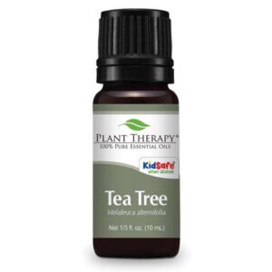 Plant Therapy Essential Oils Tea Tree 100% Pure undiluted ml (1/3 fl oz)