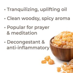 Plant Therapy Frankincense Serrata Essential Oil 100% 10 ml (1/3 oz)