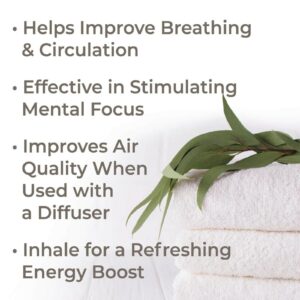 Plant Therapy Eucalyptus Globulus Essential Oil 10 ml