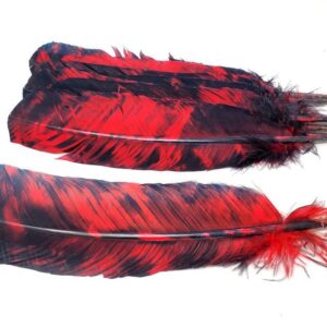 Red feather