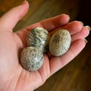 Dendritic Agate Tumble