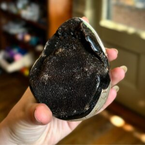 Black Septarian egg