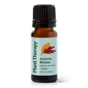 Autumn Breeze Essential Oil Blend 10 mL
