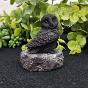 Shungite Figurine Owl Facing Sideways (2.25x1.75x2.25")