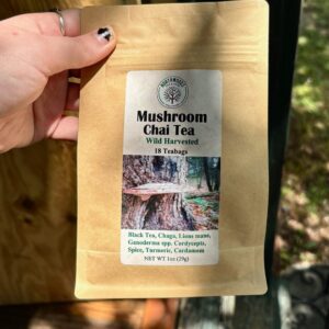 Mushroom Chai Tea